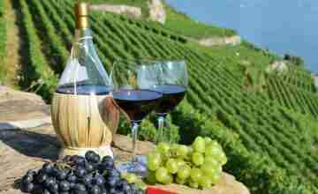 Best-Wine-Regions-to-Visit-Around-the-World