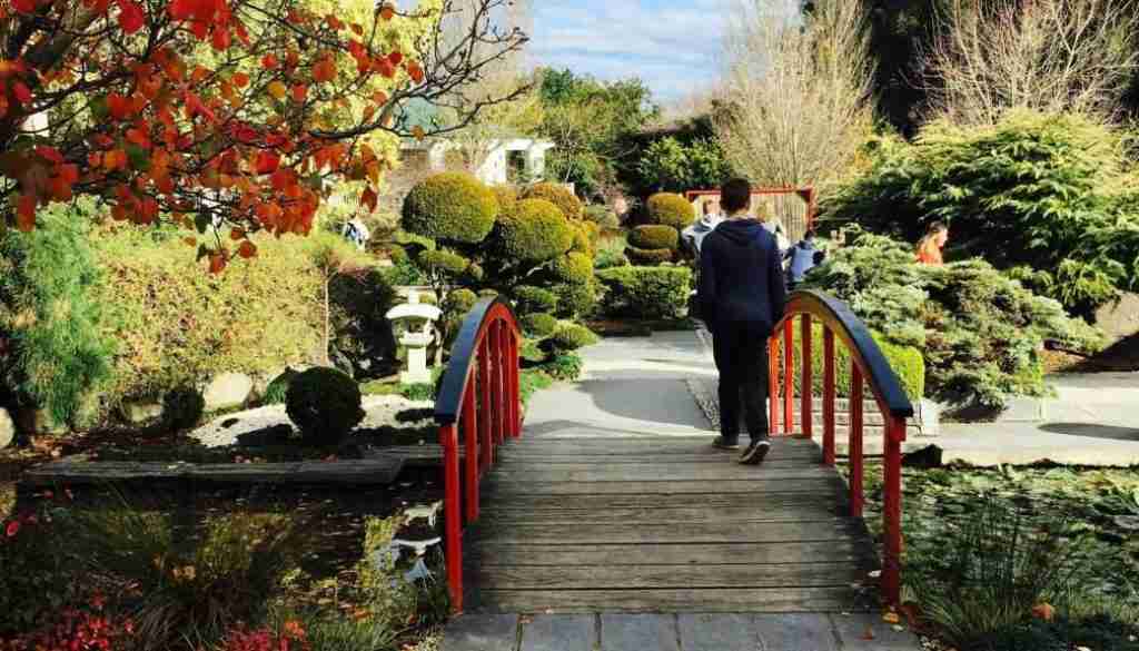 Exploring Art and Culture in Hunter Valley Wine Country
