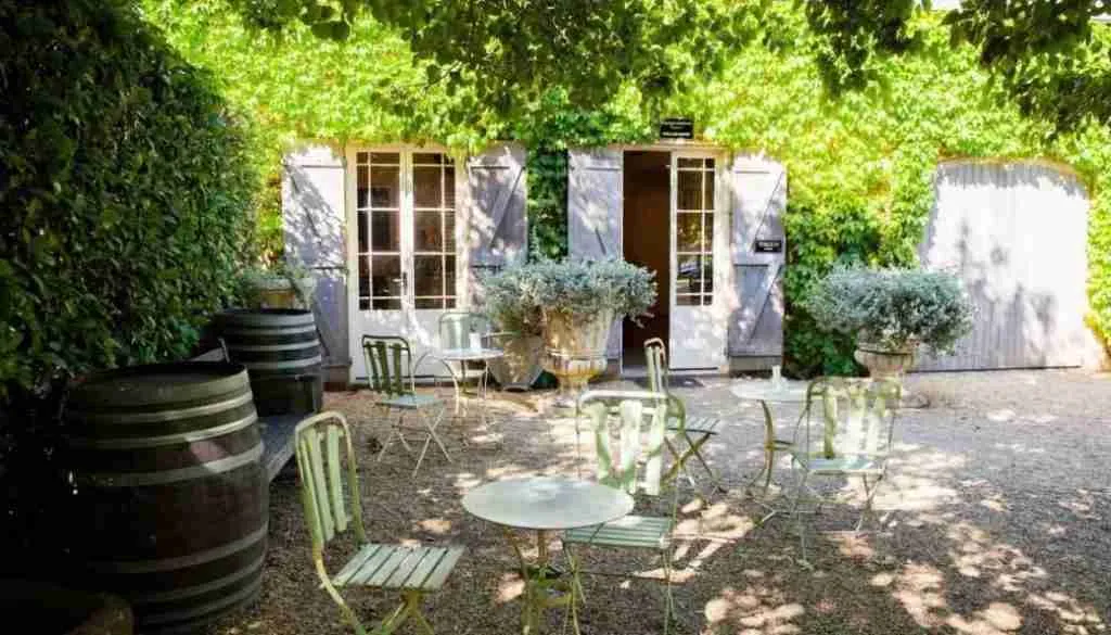 Eco-Friendly Practices in Hunter Valley Wineries