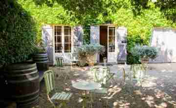 Eco-Friendly Practices in Hunter Valley Wineries